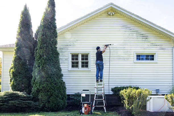 Best Roof Washing  in Cullowhee, NC